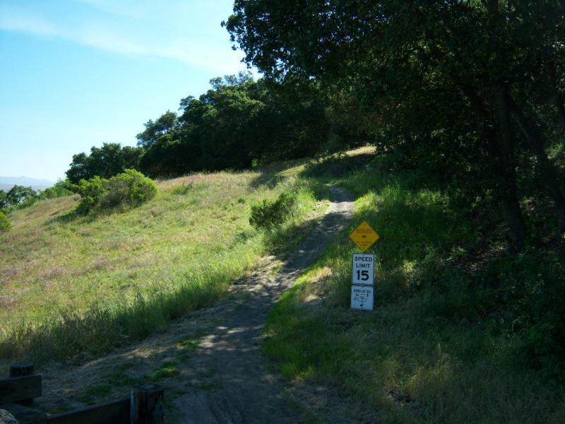 A dirt path leading up a grassy hillside, lined with trees. A bright yellow warning sign and a speed limit sign indicating "Speed Limit 15" are positioned along the path. The scene is bathed in sunlight, featuring a clear blue sky. Santa Teresa Park mountain bike trail.