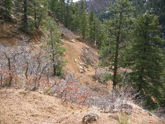 A scenic view of a sloped landscape featuring a mix of evergreen trees and sparse vegetation. The terrain is characterized by earthy tones and scattered rocks, with a backdrop of distant mountains partially obscured by trees. Columbine mountain bike trail.
