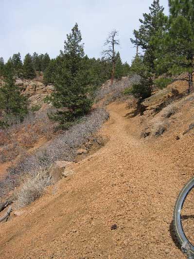 A winding dirt trail surrounded by trees and shrubs, leading along a hillside. The landscape features a mix of green pine trees and sparse, dry vegetation, with a clear sky in the background. Columbine mountain bike trail.