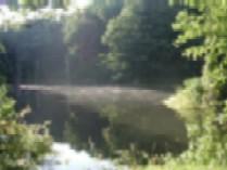 A serene lake surrounded by lush green trees, with a light mist hovering over the water's surface, reflecting the natural beauty of the landscape. Kickapoo mountain bike trail.
