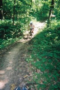 A person riding a mountain bike on a dirt trail surrounded by lush green foliage in a wooded area. Sunlight filters through the trees, creating a dappled effect on the path. Kickapoo mountain bike trail.