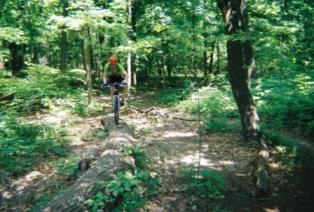 A person riding a mountain bike over a fallen log in a dense, green forest. Sunlight filters through the trees, highlighting the vibrant foliage surrounding the trail. Kickapoo mountain bike trail.