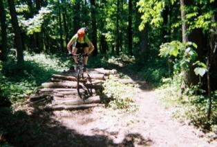 A mountain biker performing a jump over a log obstacle on a trail surrounded by dense green foliage in a forested area. Kickapoo mountain bike trail.