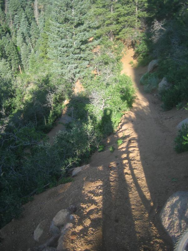 A dirt trail winding through lush greenery, with tall trees on either side. The sunlight casts elongated shadows on the path, creating a serene and peaceful atmosphere in a forested area. Columbine mountain bike trail.