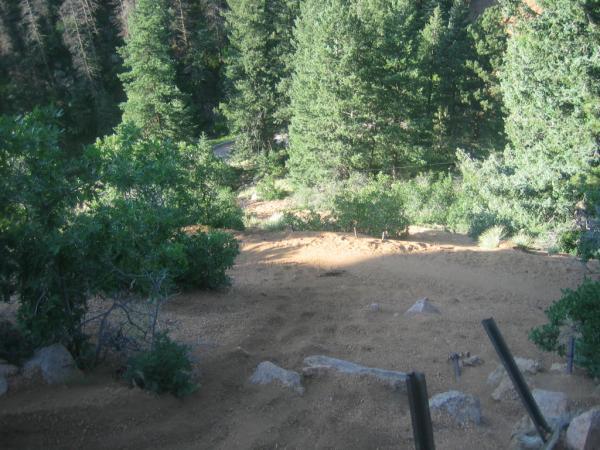 A view of a sandy slope surrounded by tall evergreen trees, with a winding road visible in the background. The scene captures a natural landscape with a mixture of foliage and rocky terrain under bright sunlight. Columbine mountain bike trail.