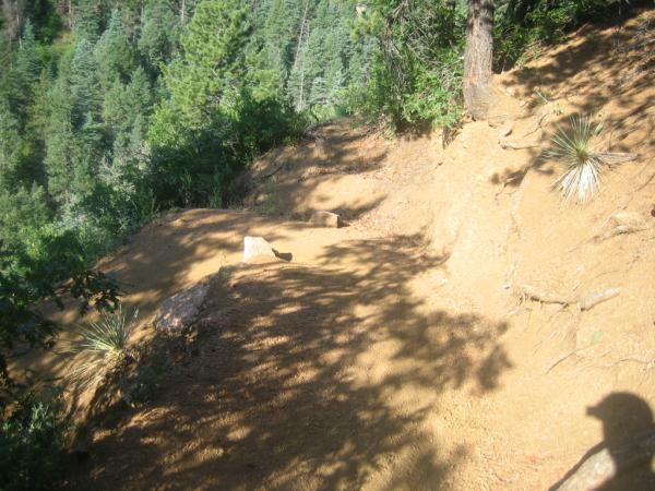 A dirt trail winding through a wooded area, surrounded by trees and vegetation. Sunlight filters through the foliage, casting shadows on the path. A rocky outcrop is visible along the trail's edge, with a steep drop to the side. Columbine mountain bike trail.
