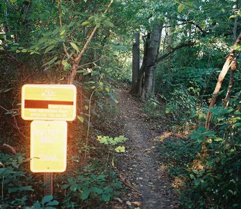 A narrow dirt trail surrounded by dense green foliage, leading into a wooded area. In the foreground, there is a bright yellow sign indicating trail information, partially obscured by trees and plants. Buttermilk mountain bike trail.