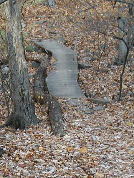 A wooden footbridge winding through a forest covered in autumn leaves, surrounded by trees and rocky terrain. Sprain Ridge mountain bike trail.