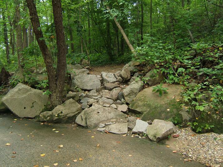 A rocky path leading through a dense green forest, with large boulders scattered along the trail and trees surrounding the area. Buttermilk mountain bike trail.