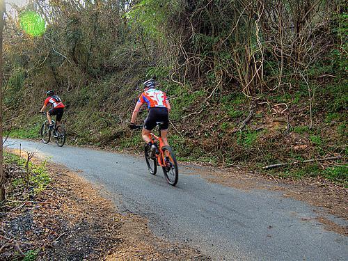 Two mountain bikers ride along a narrow, winding road surrounded by lush greenery and dense foliage. The scene captures the cyclists from behind as they navigate the trail, emphasizing the natural environment and the sport of mountain biking. Belle Isle mountain bike trail.