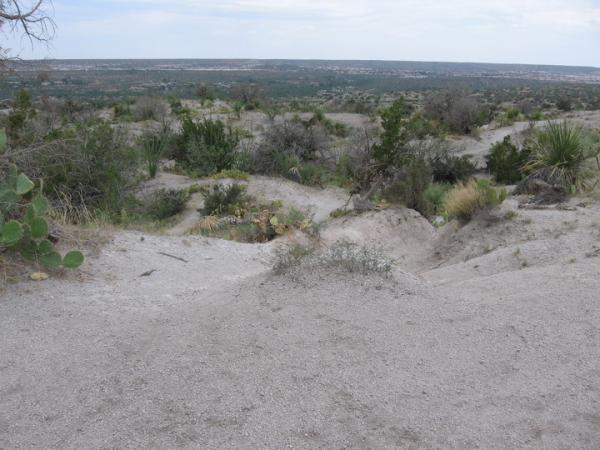 A scenic view of a dry, hilly landscape with sparse vegetation, including shrubs and cacti. The foreground features a sandy path leading through the terrain, while the background showcases a distant horizon of rolling hills under a cloudy sky. 50-year Trail / Golder Ranch mountain bike trail.