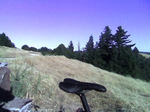 A bicycle saddle resting on a rocky outcrop, with a scenic view of a grassy hillside and a background of tall evergreen trees under a clear blue sky. Skyline Ridge mountain bike trail.