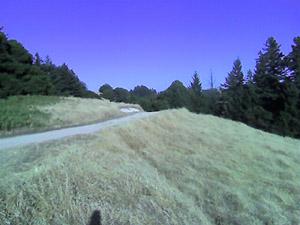 A scenic outdoor view featuring a winding dirt path leading through a grassy area, framed by trees against a clear blue sky. The landscape shows a mixture of undulating terrain and patches of sunlight. Skyline Ridge mountain bike trail.