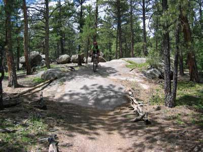 A mountain biker riding on a rocky path through a dense forest of pine trees. The terrain includes large boulders and a dirt trail surrounded by greenery. Buffalo Creek mountain bike trail.