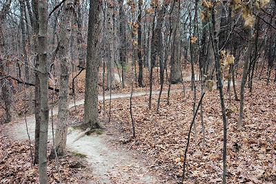 A winding dirt path through a forest, surrounded by bare trees and fallen leaves, suggesting an autumn setting. Farmdale Reservoir Recreation Area mountain bike trail.