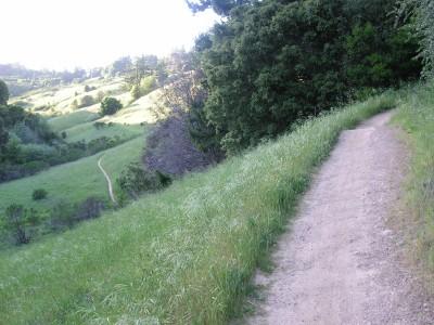 A scenic view of a grassy hillside with a dirt path winding through it, surrounded by lush green vegetation and trees. The landscape features rolling hills in the background, illuminated by soft sunlight. Skyline Ridge mountain bike trail.