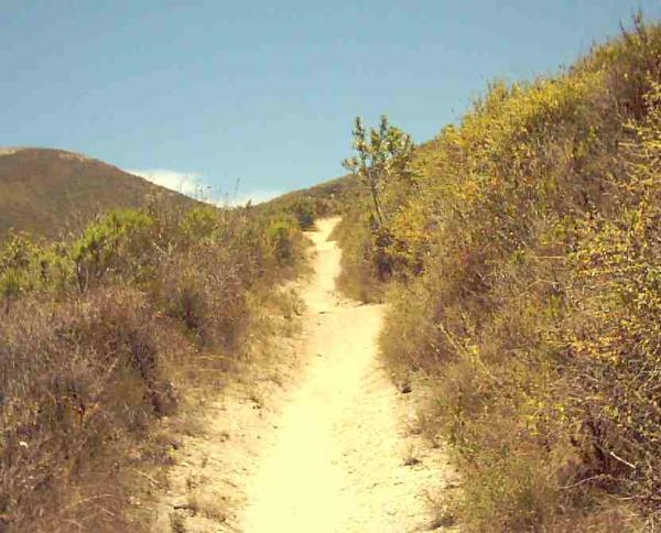 A narrow dirt path winding through dry, grassy hills under a clear blue sky. The path is flanked by sparse vegetation and leads into the distance, suggesting a peaceful outdoor hiking trail. Montana De Oro mountain bike trail.