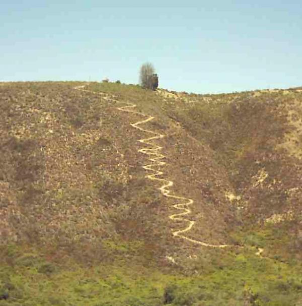 Winding hiking trail leading up a hillside, surrounded by greenery and shrubbery under a clear blue sky. A small tree is visible at the top of the hill. Montana De Oro mountain bike trail.