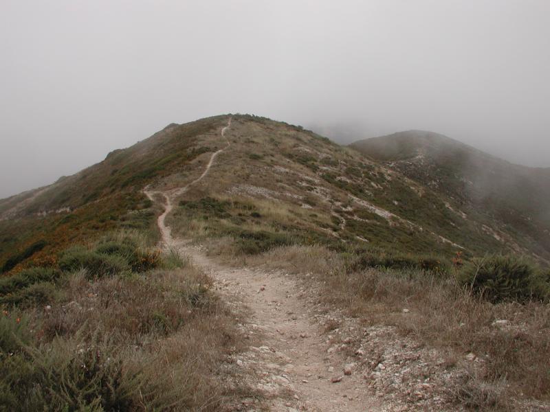A rugged trail winding up through grassy hills under a cloudy sky, with fog partially obscuring the view of the landscape ahead. Montana De Oro mountain bike trail.