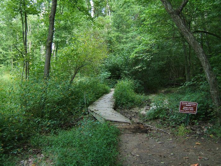 A wooden bridge leads through a lush green forest, surrounded by dense foliage and trees. A sign on the right indicates the area as Wilson Management Area, providing information about the region. The scene evokes a sense of tranquility and natural beauty. Powhite Park mountain bike trail.