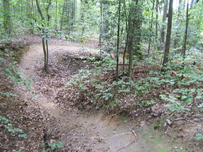A winding dirt path in a forest, surrounded by lush green foliage and trees. The trail curves gently to the left, with an uneven, natural terrain covered in fallen leaves and small plants. Sunlight filters through the canopy, creating a serene, wooded atmosphere. Powhite Park mountain bike trail.