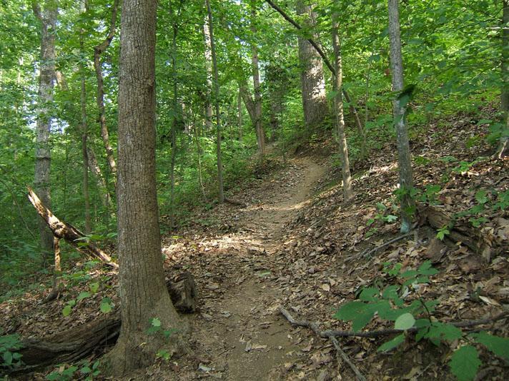 A narrow, winding dirt trail surrounded by lush green trees and foliage, leading up a slight incline through a peaceful wooded area. The ground is covered in fallen leaves and small branches. Powhite Park mountain bike trail.