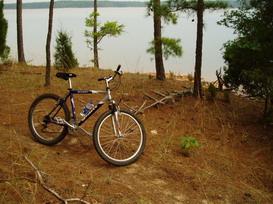 A mountain bike resting on a sandy area surrounded by pine trees, with a lake visible in the background. Hickory Knob State Park mountain bike trail.