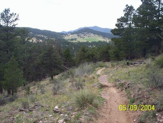 A winding dirt trail leads through a green landscape surrounded by tall pine trees and low shrubs. In the distance, rolling hills rise beneath a cloudy sky, creating a peaceful outdoor scene. The image is timestamped May 9, 2004. White Ranch mountain bike trail.