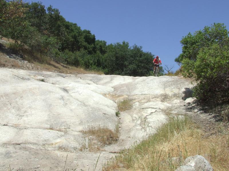 A mountain biker ascending a rocky trail surrounded by greenery on a sunny day. Rockville Park mountain bike trail.