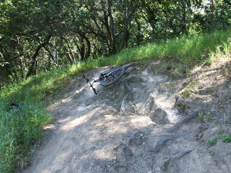 A mountain bike lying on its side on a dirt trail, surrounded by grass and trees. The trail appears steep and rocky, indicating a challenging terrain for biking. Rockville Park mountain bike trail.