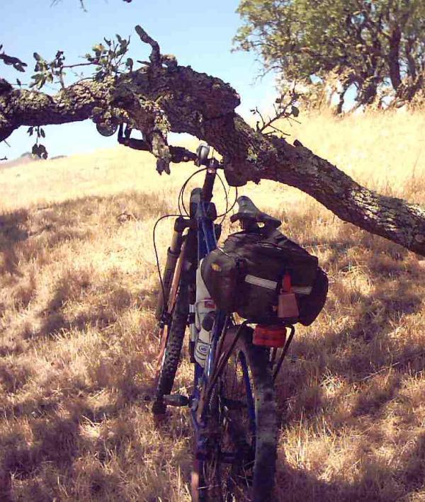 A mountain bike leaning against a tree branch in a grassy field under clear blue skies. The bike has a small pack attached to the back, and the landscape is characterized by dry grass and scattered trees. Rockville Park mountain bike trail.