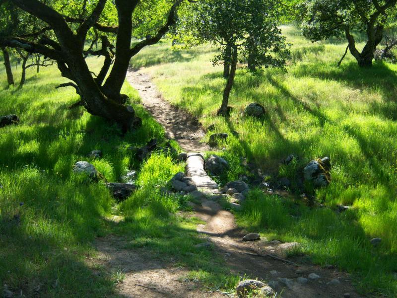 A serene pathway through a grassy landscape, bordered by trees and scattered rocks, with sunlight filtering through the foliage. Rockville Park mountain bike trail.