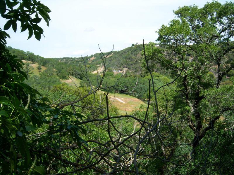A scenic view of a lush, green valley framed by trees and branches, with rolling hills in the background under a partly cloudy sky. Rockville Park mountain bike trail.