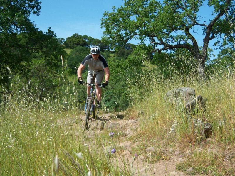 A mountain biker riding on a dirt trail surrounded by tall grass and trees on a sunny day. Rockville Park mountain bike trail.