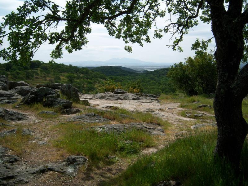 A scenic view from a rocky outcrop surrounded by greenery, featuring trees with vibrant leaves. In the background, rolling hills and a distant landscape are visible under a cloudy sky. Rockville Park mountain bike trail.