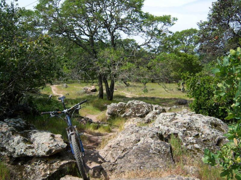 A mountain bike resting on rocky terrain, surrounded by lush greenery and trees, with a dirt path visible in the background. The scene depicts a natural outdoor setting, ideal for biking and exploration. Rockville Park mountain bike trail.