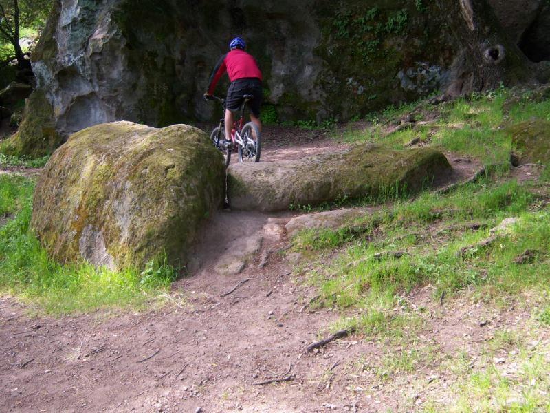 A person on a mountain bike navigating a rocky trail surrounded by green grass and large boulders, with a forested area in the background. Rockville Park mountain bike trail.