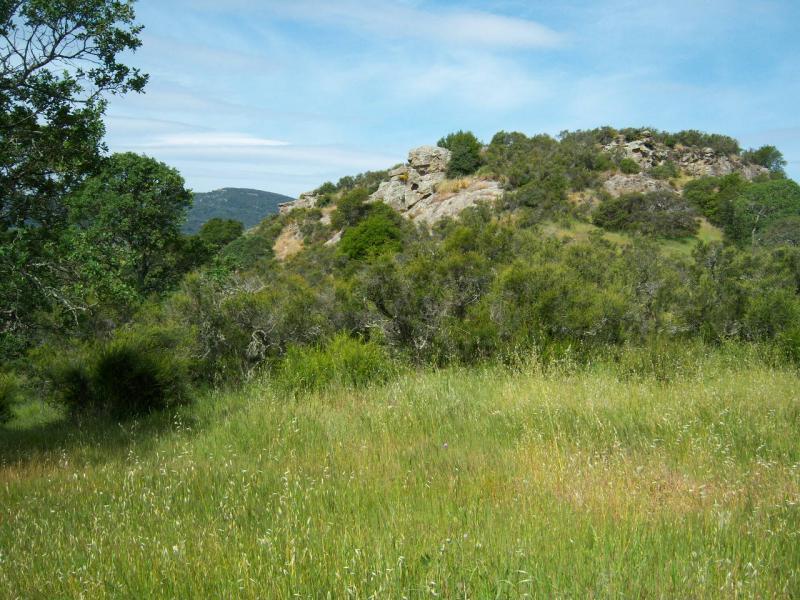 A scenic landscape featuring a grassy meadow in the foreground with wildflowers, leading up to a rocky hill adorned with shrubs and trees. The sky is partly cloudy with a blue hue, creating a tranquil outdoor setting. Rockville Park mountain bike trail.