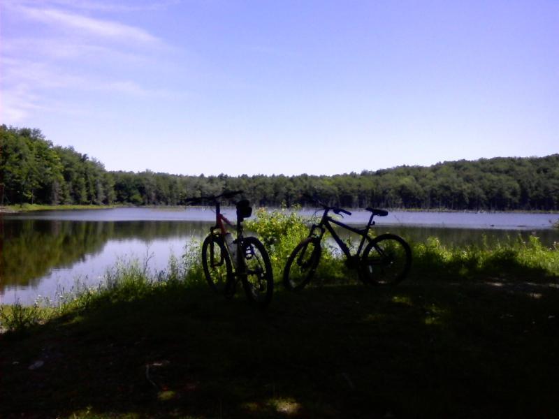 Two mountain bikes are parked on the grass by a serene lake, with a backdrop of lush green trees under a clear blue sky. The peaceful scene reflects the beauty of nature and outdoor activity. Brookfield State Lands mountain bike trail.