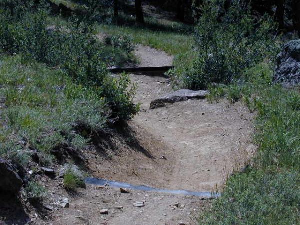 A dirt hiking trail meanders through a wooded area, surrounded by green foliage and small rocks. The path is slightly uneven and appears well-used, with patches of grass and shrubs on either side. White Ranch mountain bike trail.