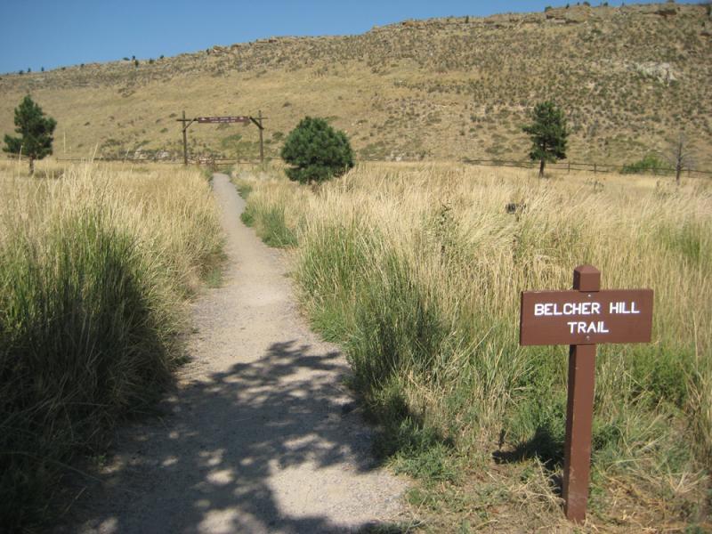 A dirt path leading into a grassy field, with tall yellow grass on either side. A wooden sign on the right reads "Belcher Hill Trail." In the distance, a wooden archway marks the entrance to the trail, with a hillside in the background under a clear blue sky. White Ranch mountain bike trail.