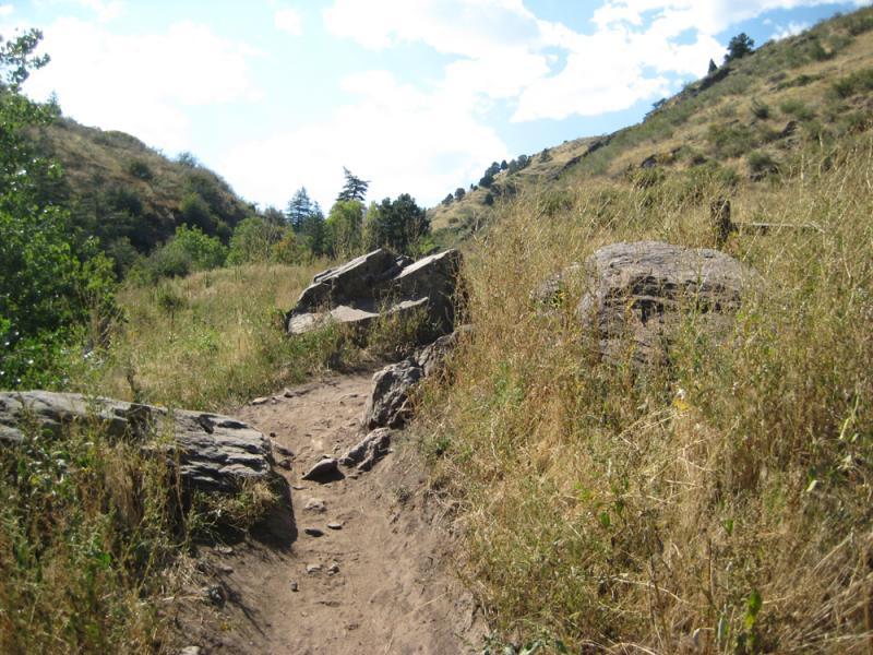 A winding dirt path leads through tall grass and rocky terrain, with hills in the background under a partly cloudy sky. White Ranch mountain bike trail.