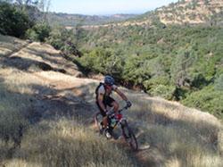 A mountain biker riding along a narrow trail surrounded by lush greenery and rolling hills under a clear blue sky. Upper Bidwell Park mountain bike trail.