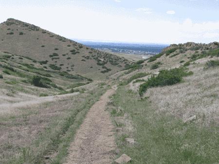 A scenic view of a winding dirt pathway leading through grassy hills, with rolling terrain and patches of vegetation on either side, under a partly cloudy sky. Coyote Ridge mountain bike trail.