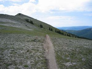 A winding dirt path leads through a grassy hillside, with scattered trees and a distant mountain range visible under a partly cloudy sky. Monarch Crest Trail mountain bike trail.