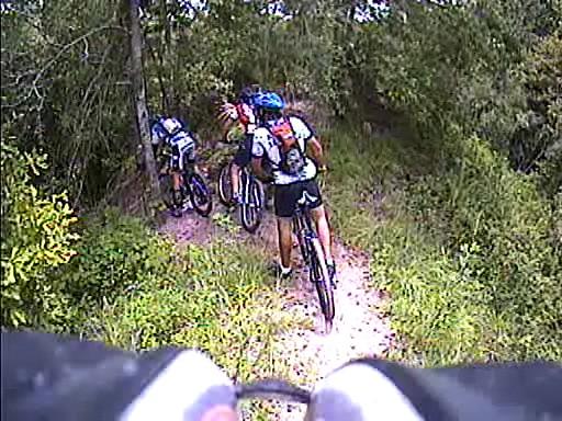 Three mountain bikers navigating a narrow trail surrounded by lush greenery and trees. The scene captures the riders from behind as they explore a natural path, suggesting an adventurous outdoor activity. Alafia River State Park mountain bike trail.