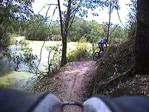 A mountain biker navigating a narrow, dirt trail alongside a body of water, surrounded by trees and greenery. The scene captures the natural landscape and highlights the adventure of outdoor biking. Alafia River State Park mountain bike trail.