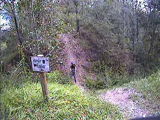 A mountain biker riding down a steep, dirt trail, with a sign indicating the trail difficulty level as "Harder" in a wooded area. Surrounding vegetation includes tall grass and trees. Alafia River State Park mountain bike trail.