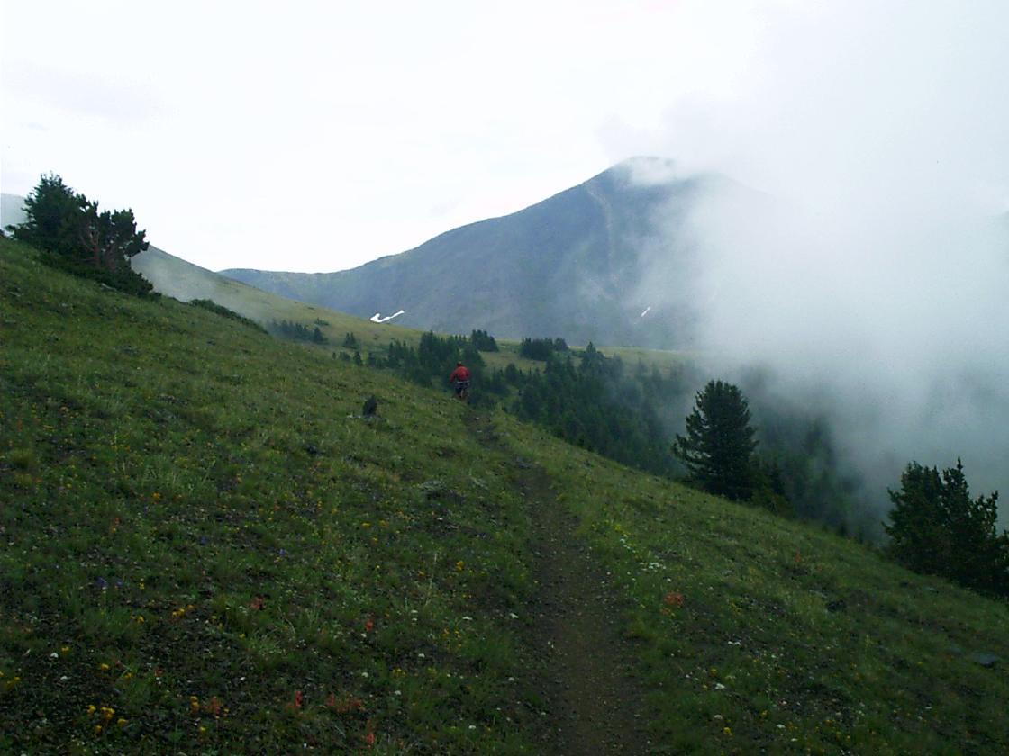 A hiker in a red jacket walking along a narrow dirt path through lush green grass and wildflowers, with mountains in the background partially covered by clouds. Monarch Crest Trail mountain bike trail.