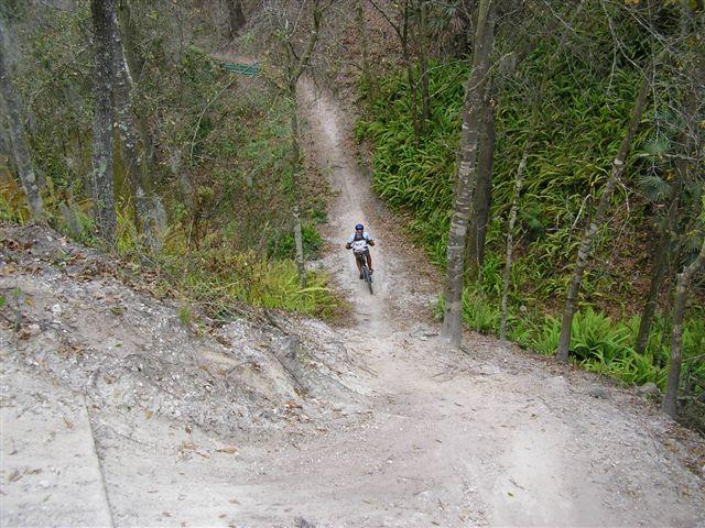 A person on a bicycle navigating a dirt trail through a wooded area, surrounded by trees and greenery. The trail is winding, and the terrain appears steep and sandy. Alafia River State Park mountain bike trail.